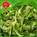 Verduras de alta calidad Crowndaisy Crisantemo